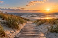 Bohlenweg durch die Dünen zum Strand