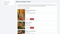 Bilder verwalten: Beschreibungen ändern und Bilder löschen, Kategorie für Kategorie