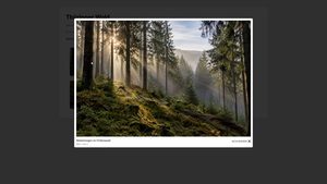 Große Ansicht der Galerie: Foto eines Fichtenwalds im Morgennebel mit Bildunterschrift, dahinter die abgedunkelte Kategorieseite